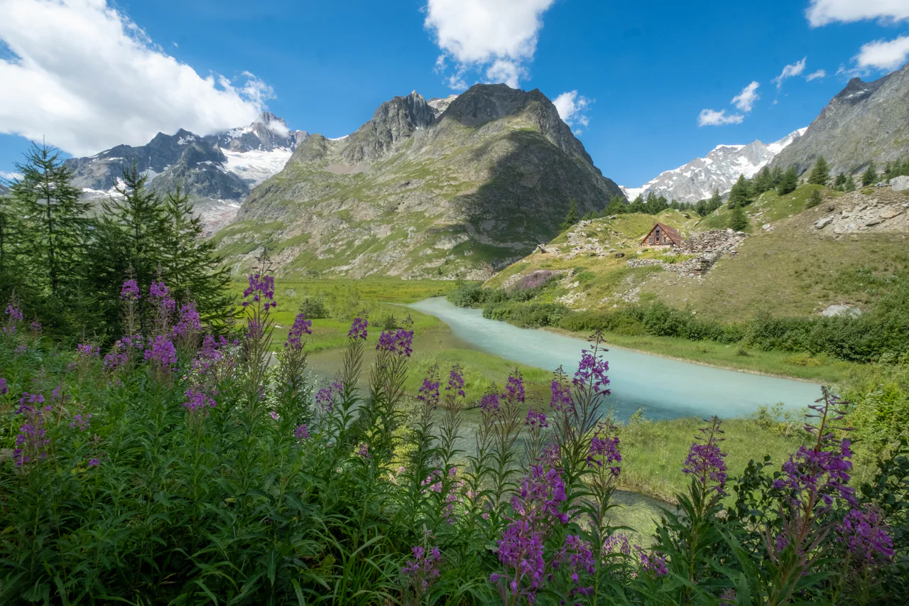 Alpine Summer — The Alps