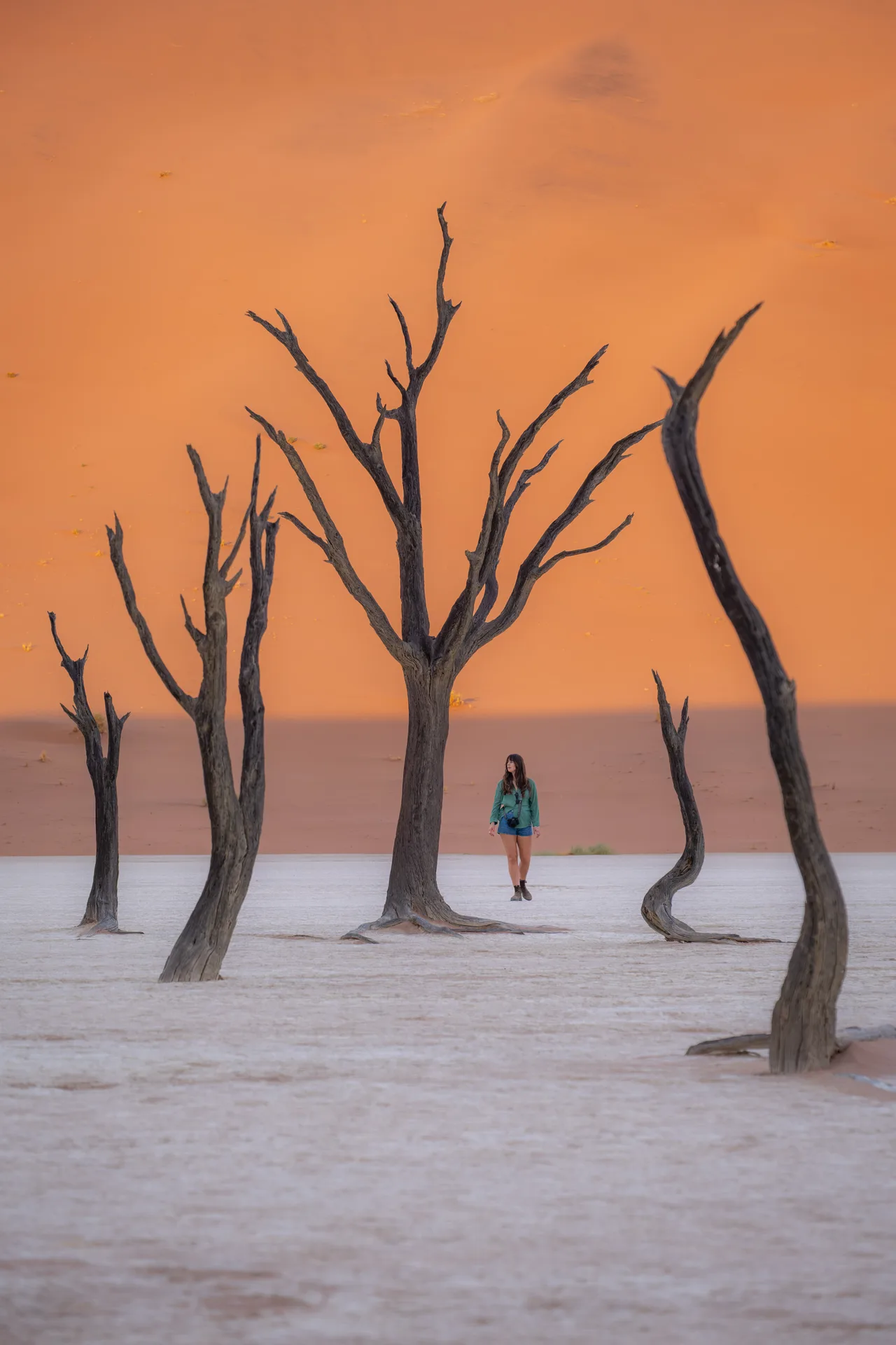 Deadvlei — Sossusvlei, Namibia