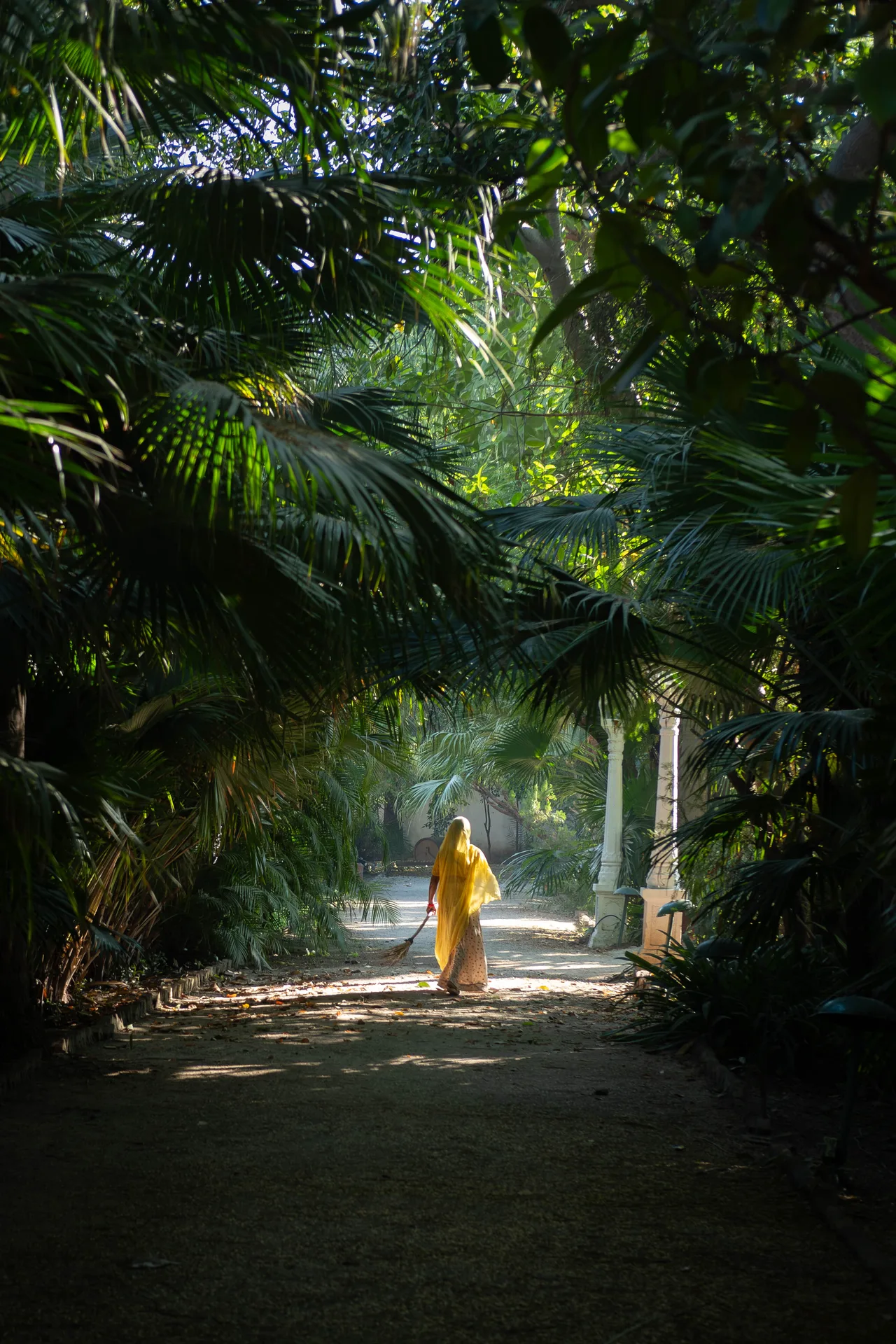 Green Corridor